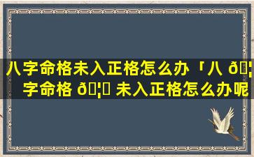 八字命格未入正格怎么办「八 🦉 字命格 🦟 未入正格怎么办呢」